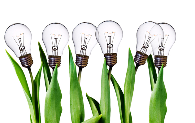 lamp bulb tulips